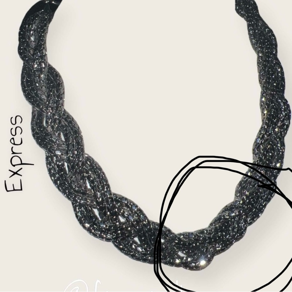 Express Brand | Dark Metal |Thick Braided Chain Necklace